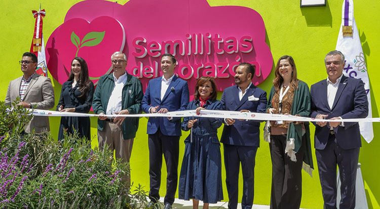 semillitas